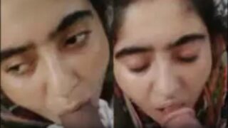 Pakistani bhabhi begum saba steamy blowjob mms